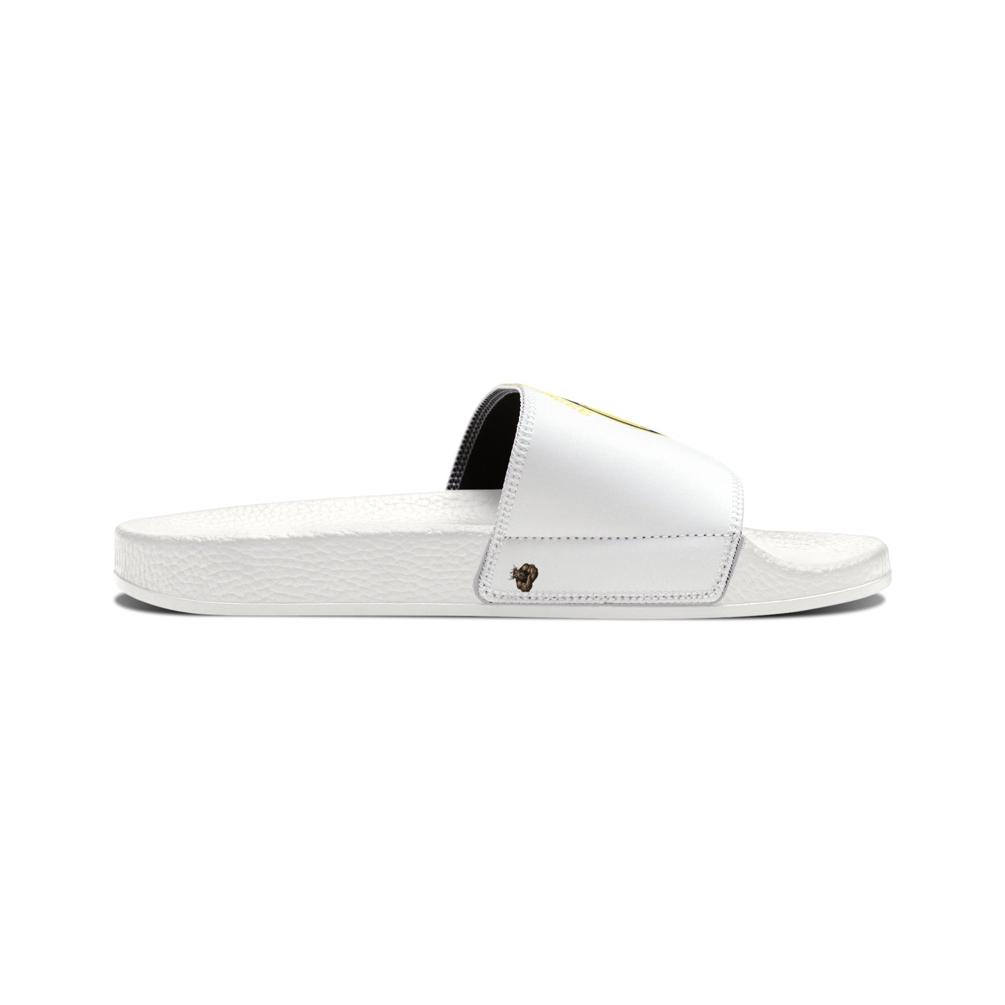 Women's Tuskegee Airmen Slides